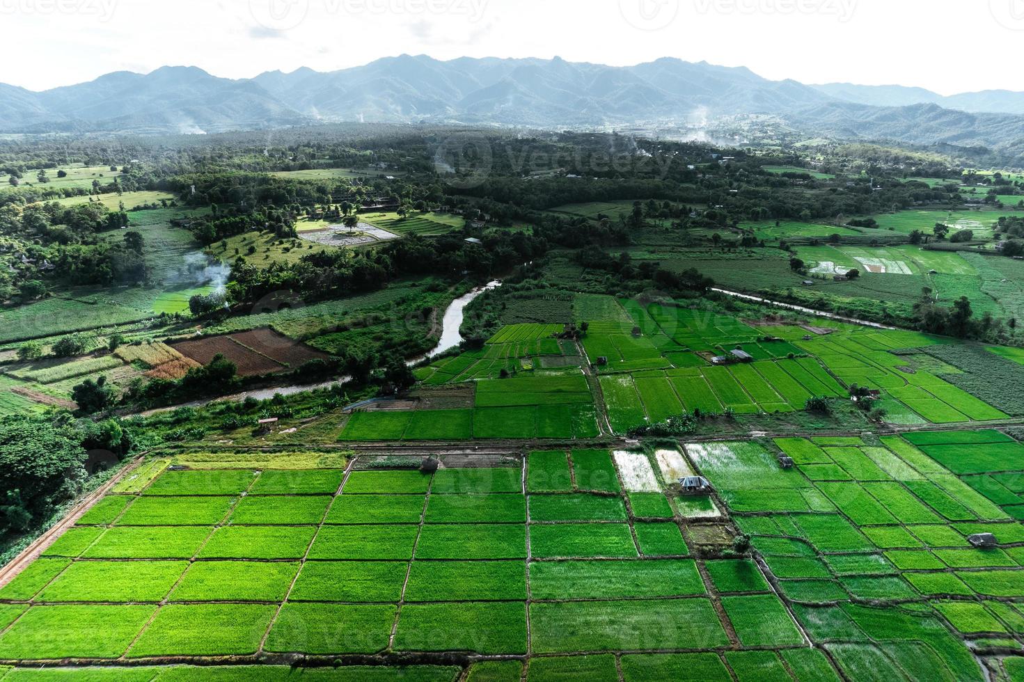 paisagem de campo de arroz em casca na Ásia, vista aérea de campos de arroz foto