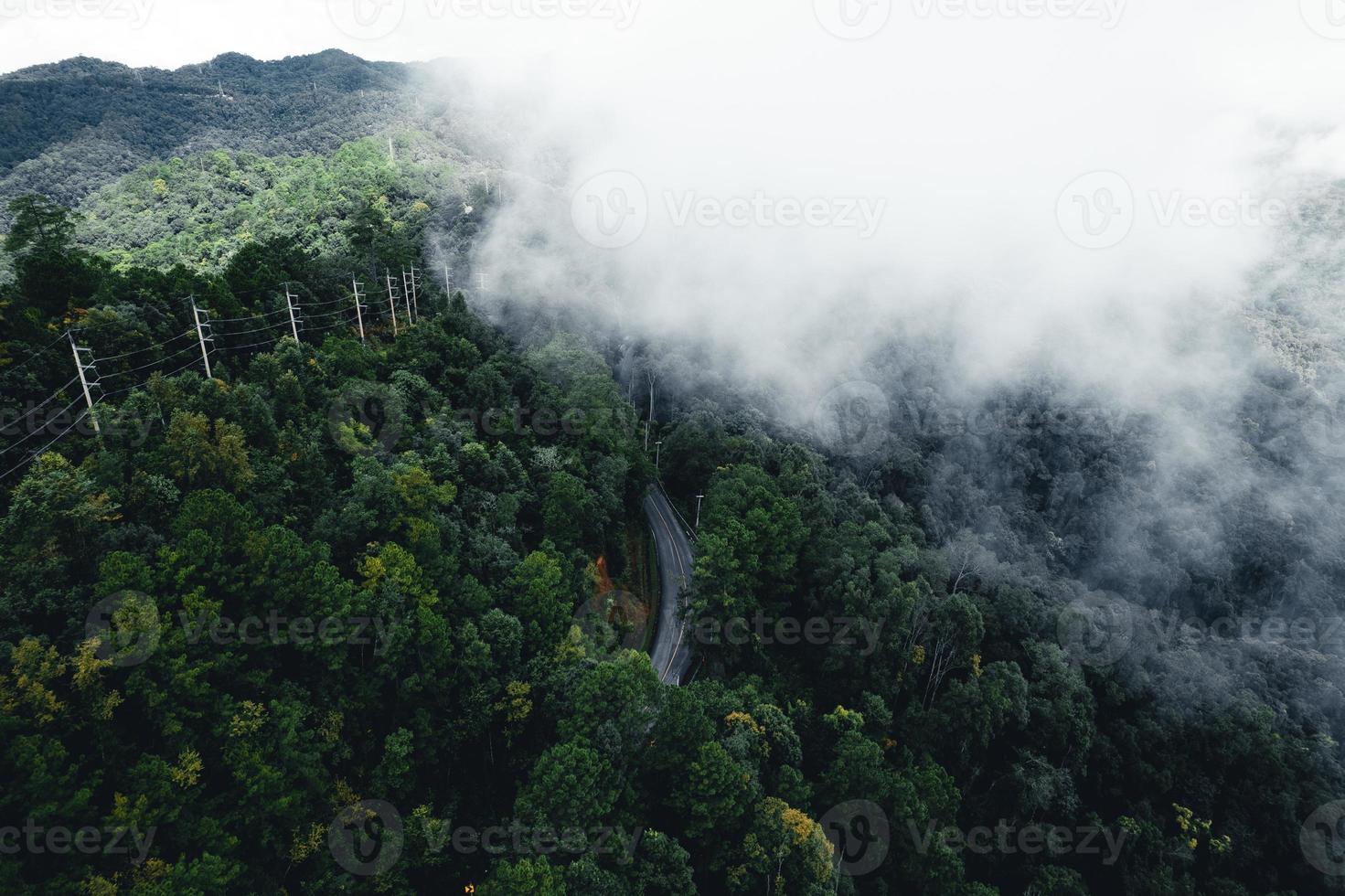 estrada na floresta, estação das chuvas, árvores da natureza e viagens com nevoeiro foto