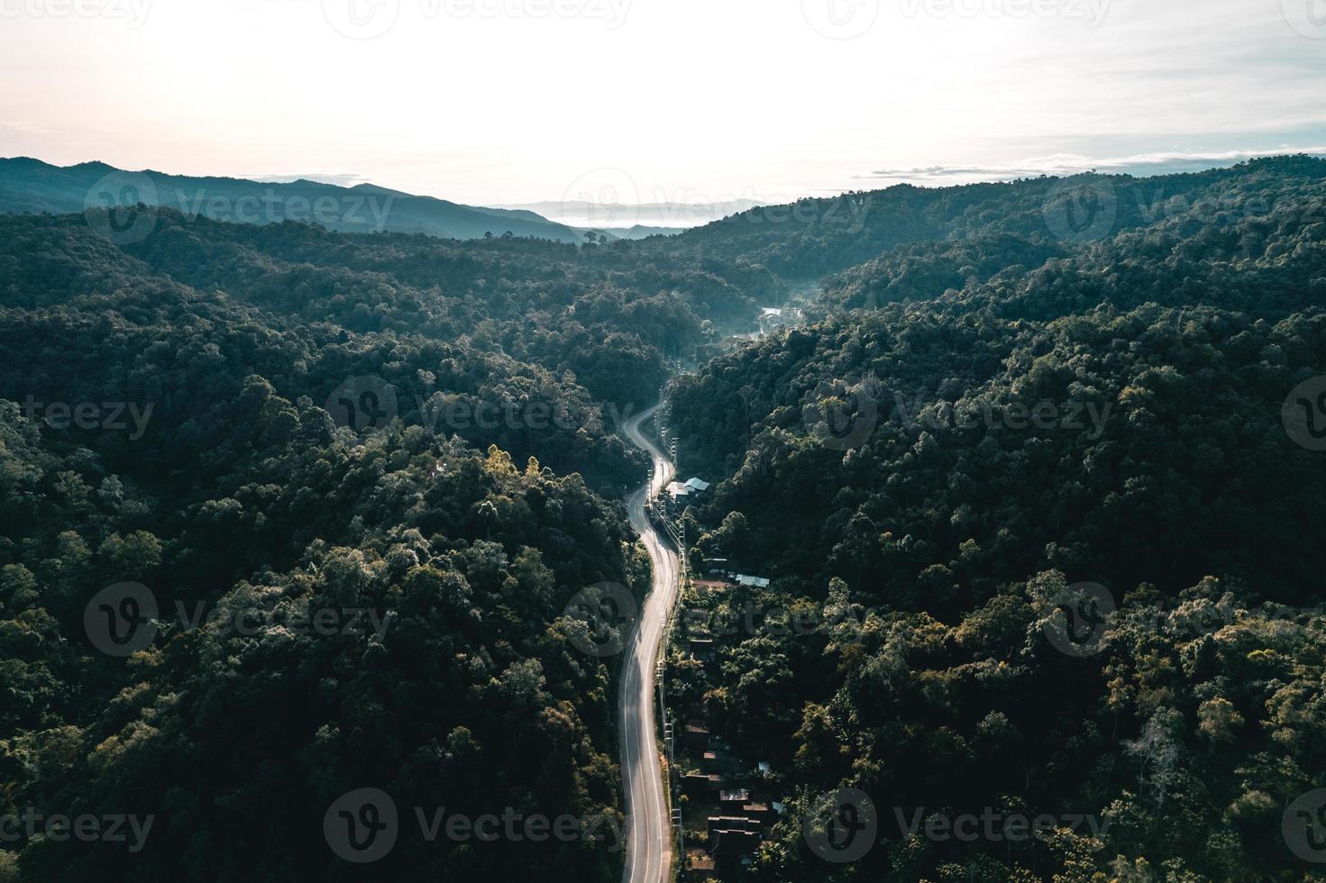 estrada na floresta, estação das chuvas, árvores da natureza e viagens com nevoeiro foto