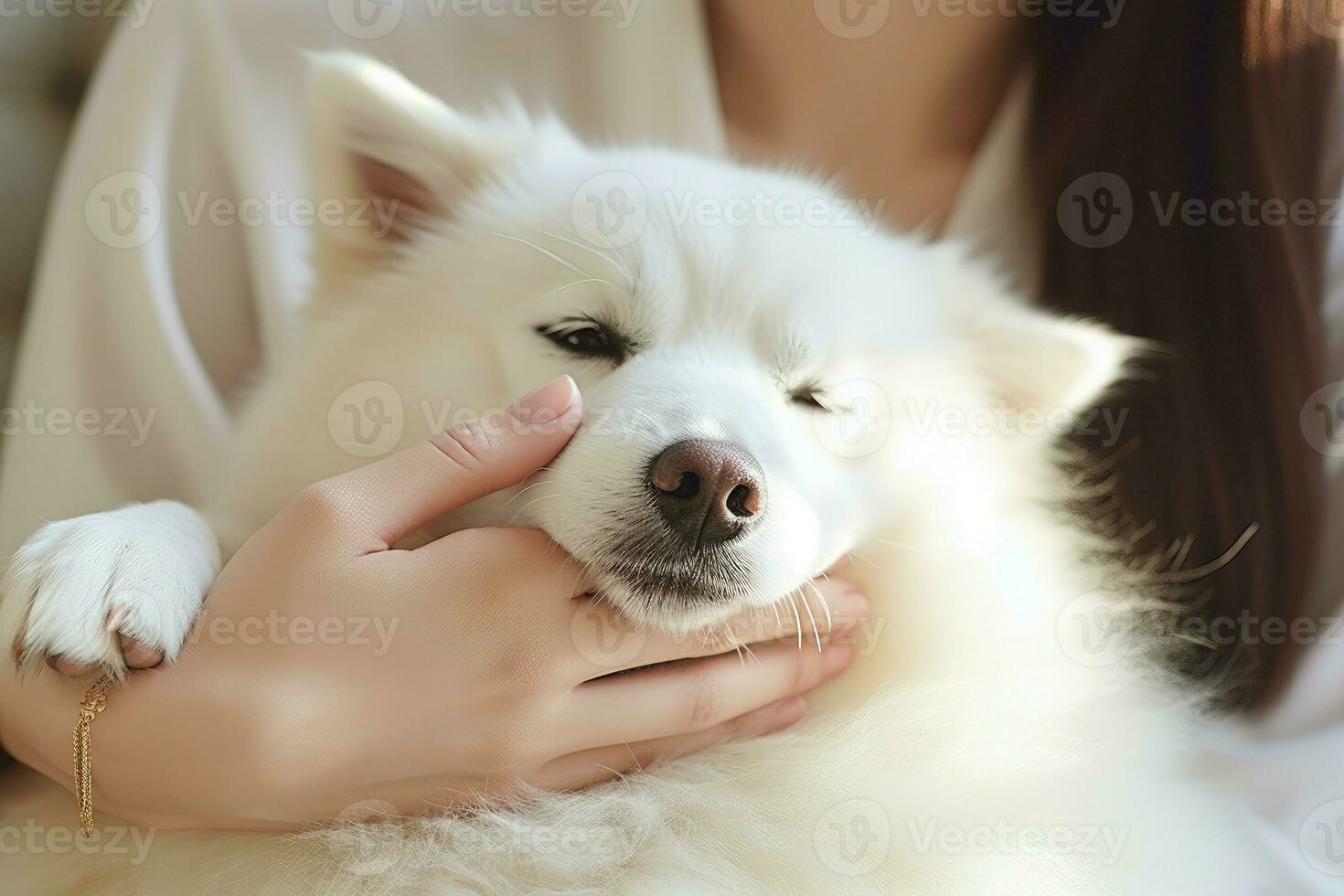 mulher segurando cachorro pata dentro de casa depois de dormindo. gerar ai foto