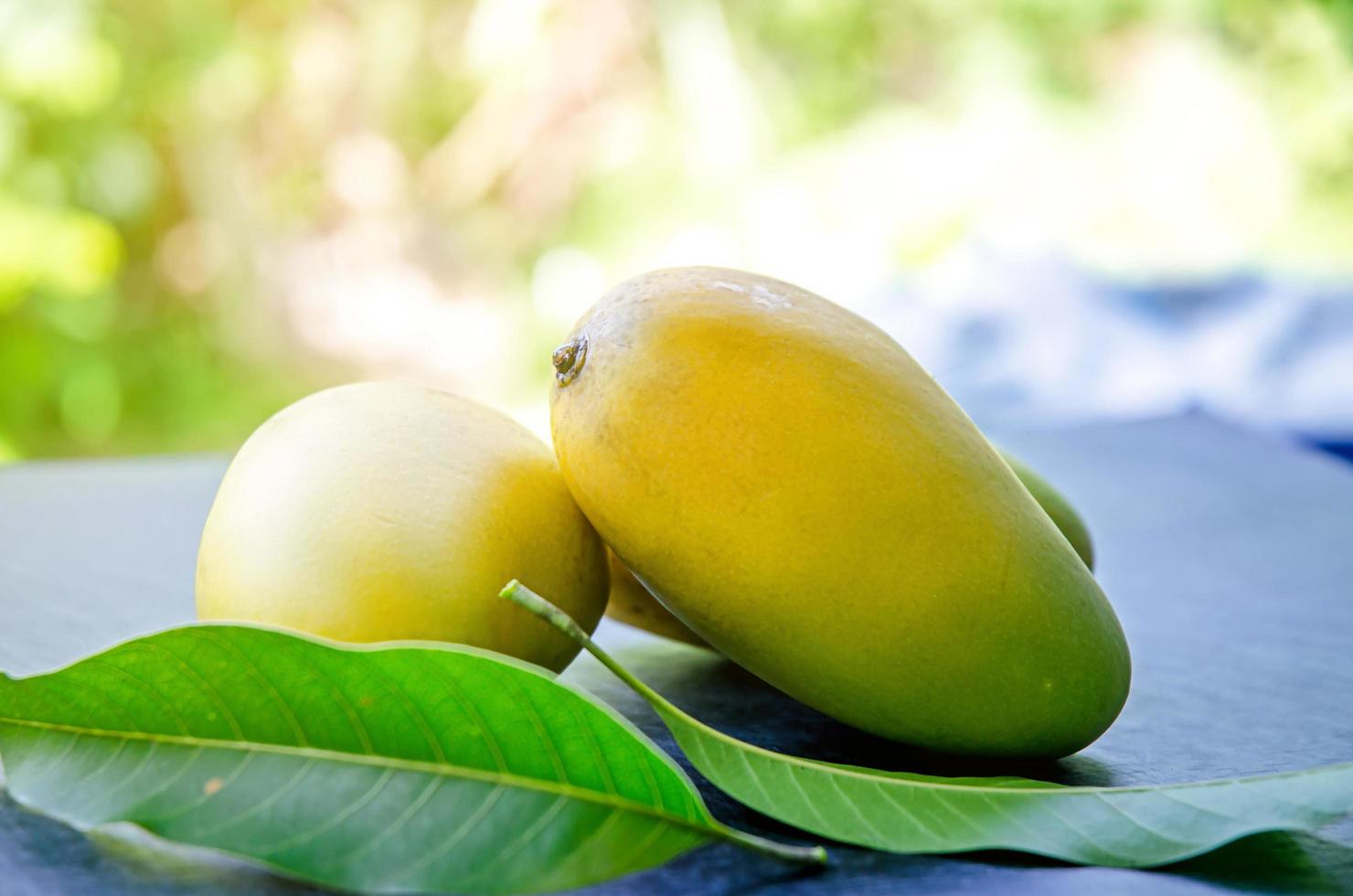 manga tailandesa, fruta do verão, grupo de manga foto