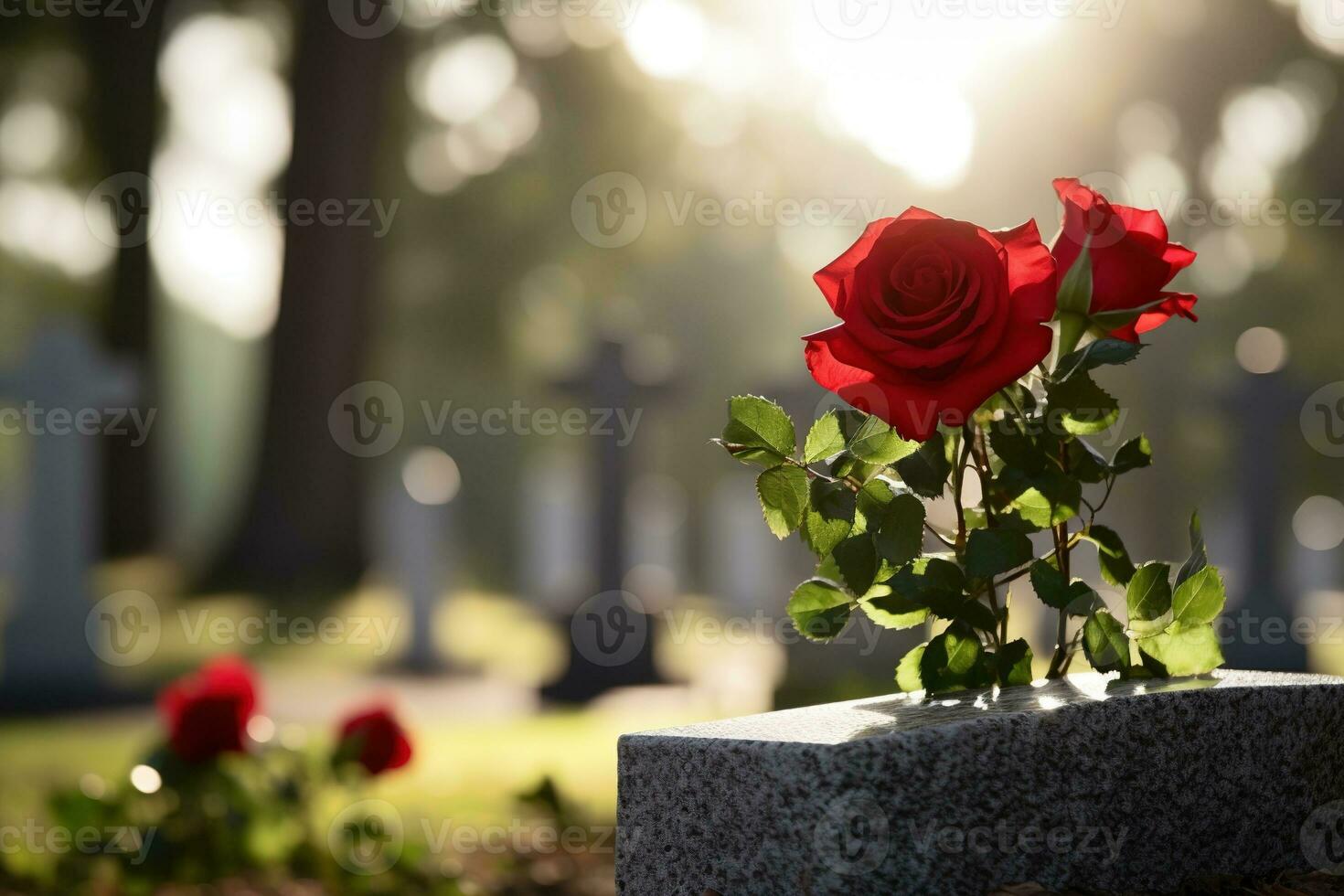vermelho rosas em uma sepultura às uma cemitério durante a pôr do sol com cópia de espaço ai gerado foto