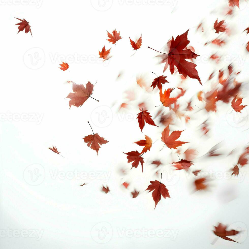 centenas do outono folhas outono e mosca em uma branco fundo. alta resolução. ai generativo foto