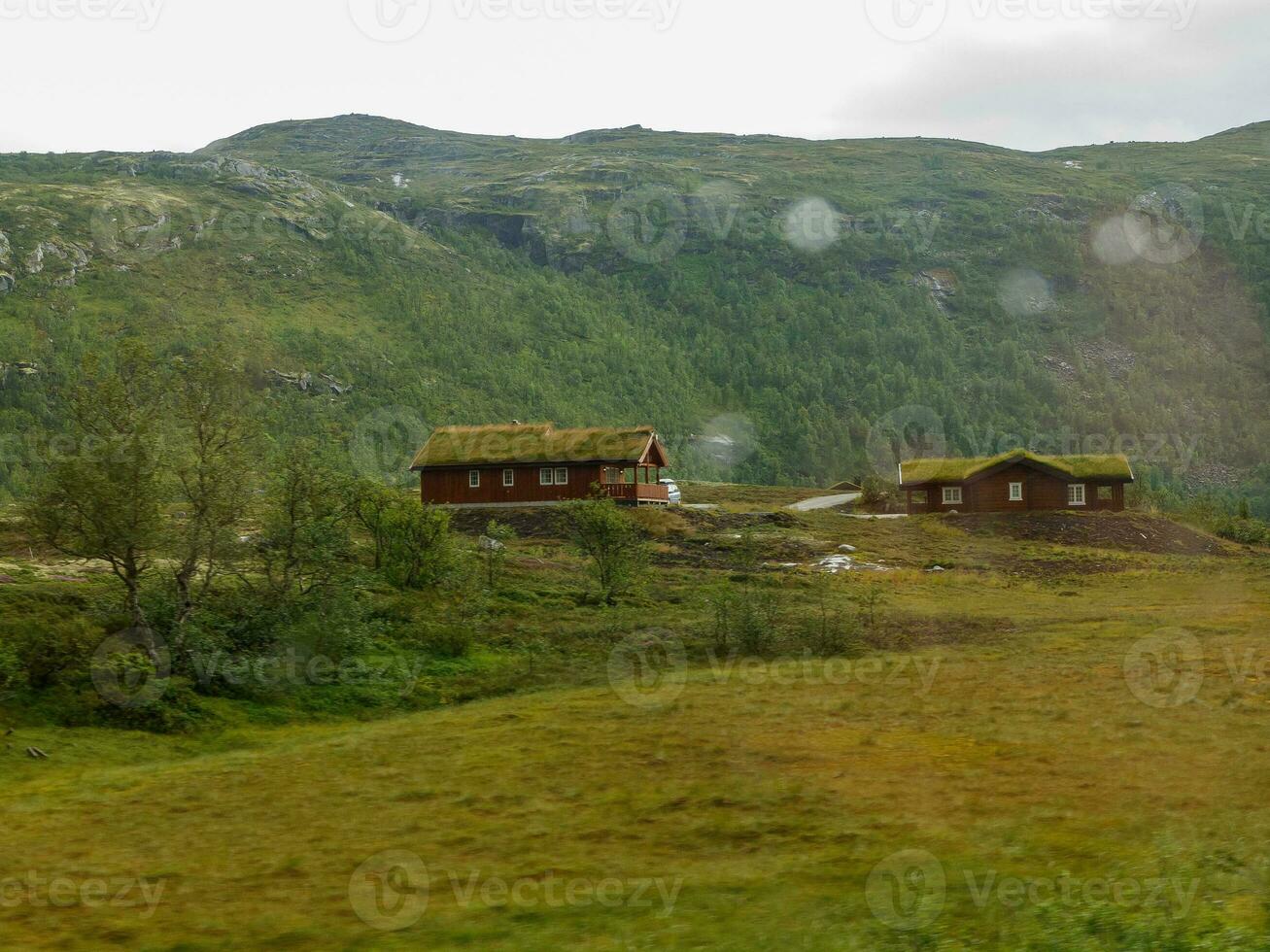 verão Tempo dentro Noruega foto