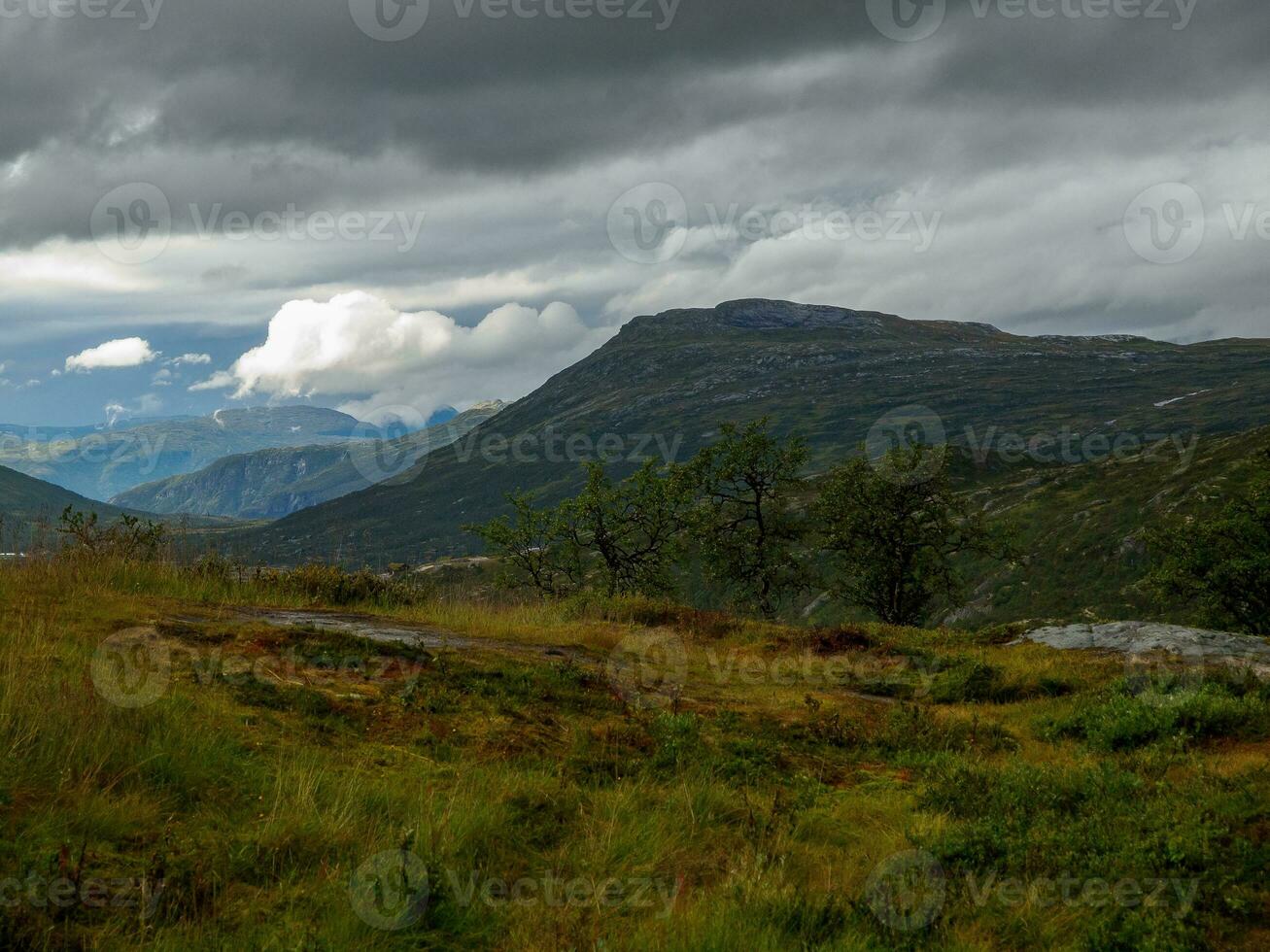 verão Tempo dentro Noruega foto