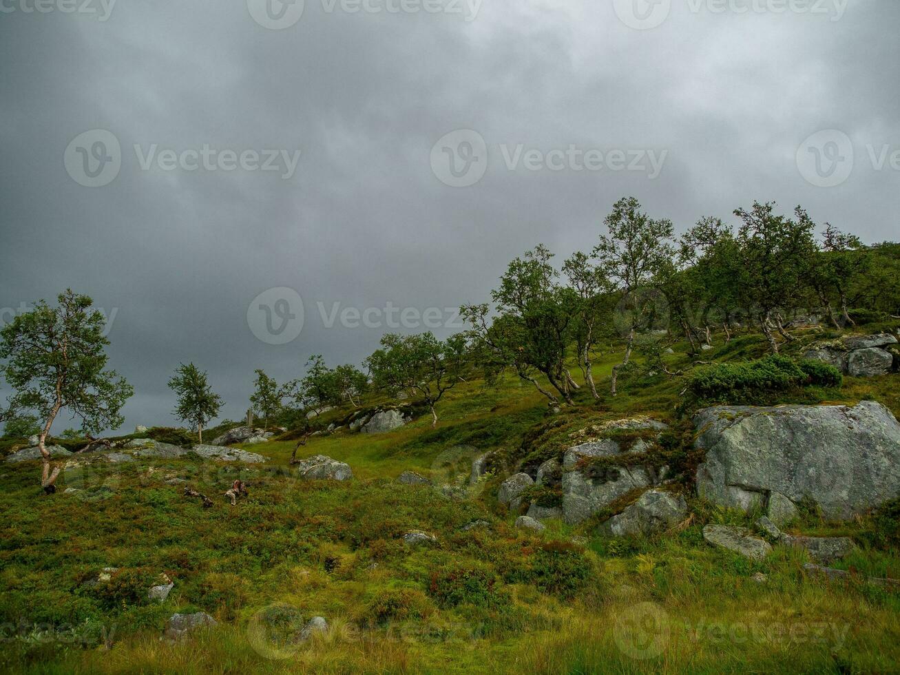 verão Tempo dentro Noruega foto