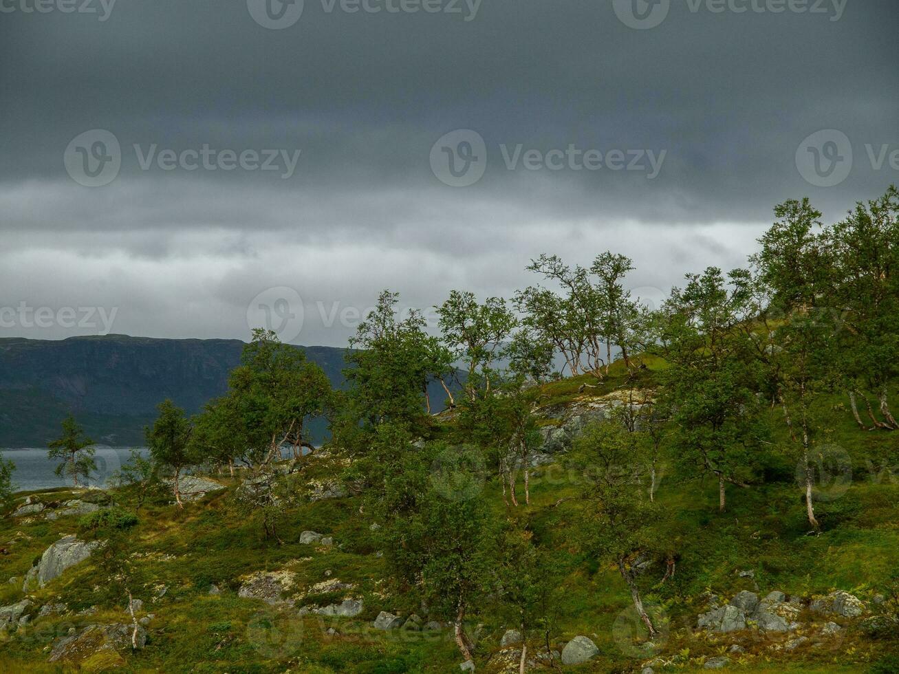 verão Tempo dentro Noruega foto