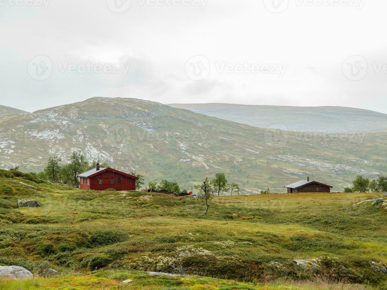 verão Tempo dentro Noruega foto