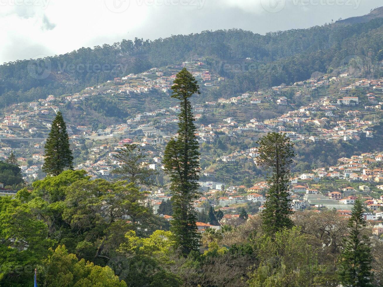 Primavera Tempo dentro funchal Madeira foto