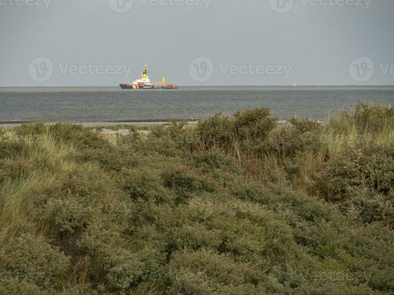 a ilha de spiekeroog foto