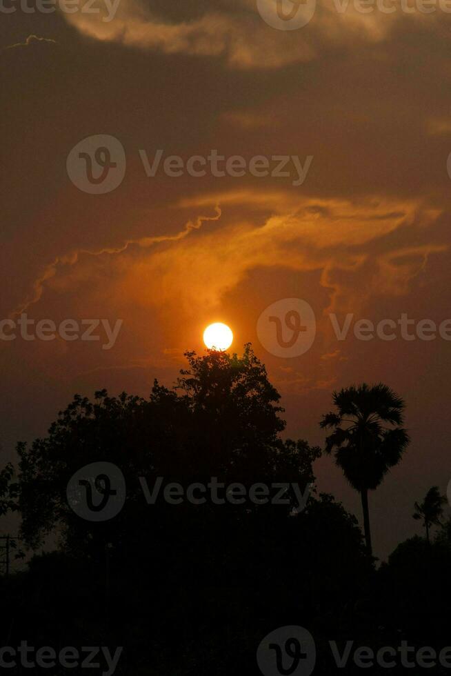 o sol nasce e se põe de manhã e à noite e as árvores estão sombreadas em preto - céu laranja e nuvens. quente, romântico e gloriosamente bonito, parece quente e viaja. foto