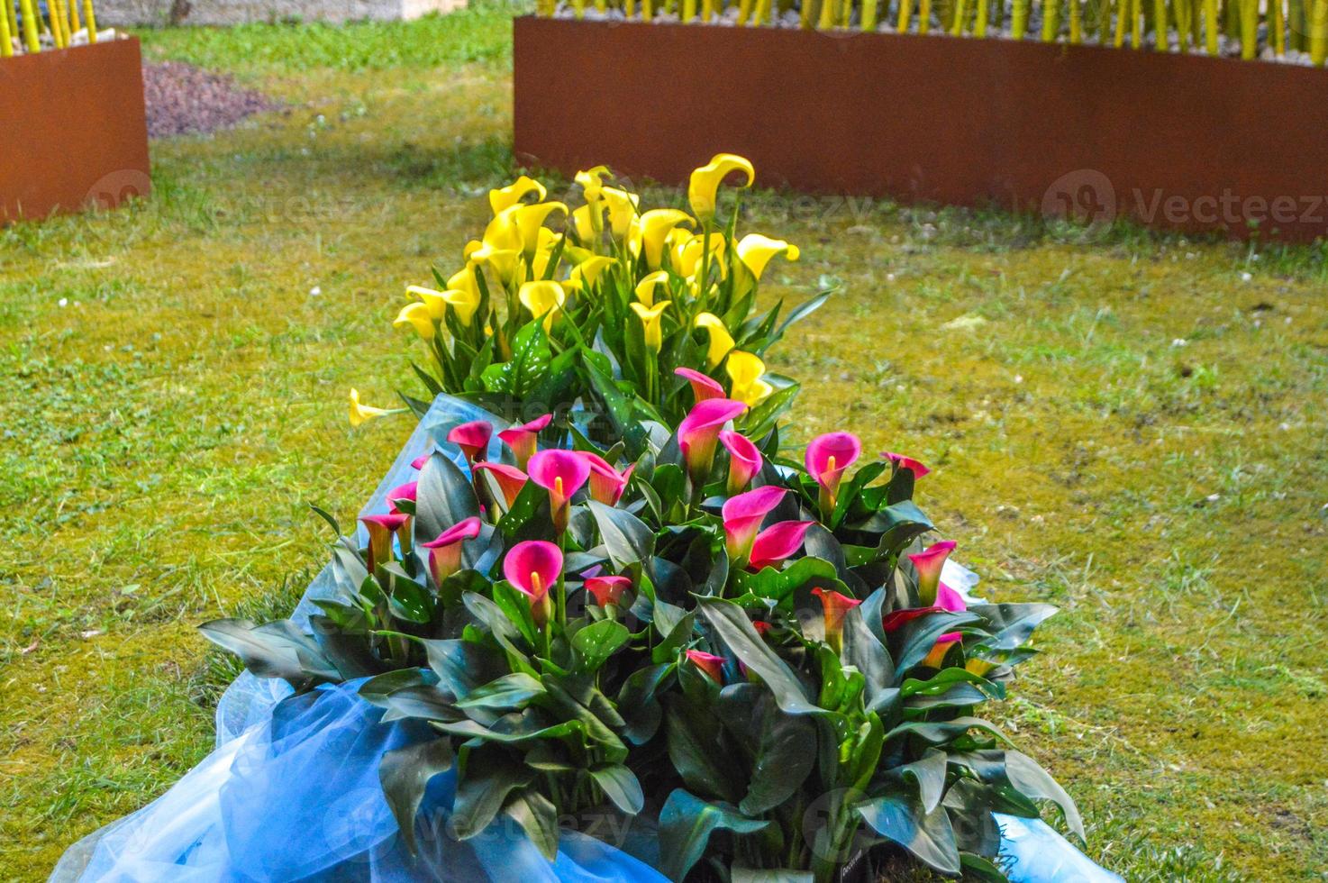 festival da flor em girona temps de flors, espanha. 2018 foto