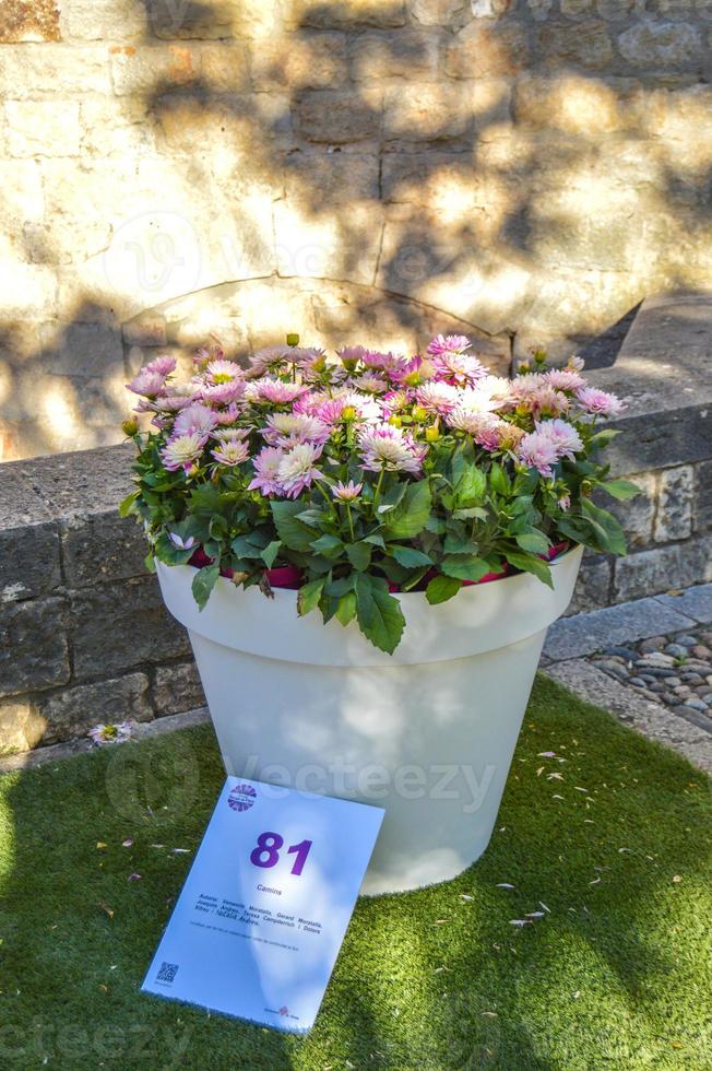 festival da flor em girona temps de flors, espanha. 2018 foto