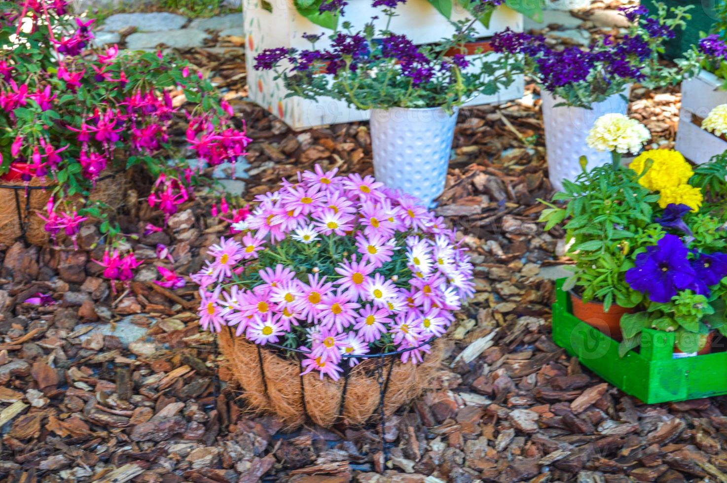 festival da flor em girona temps de flors, espanha. 2018 foto