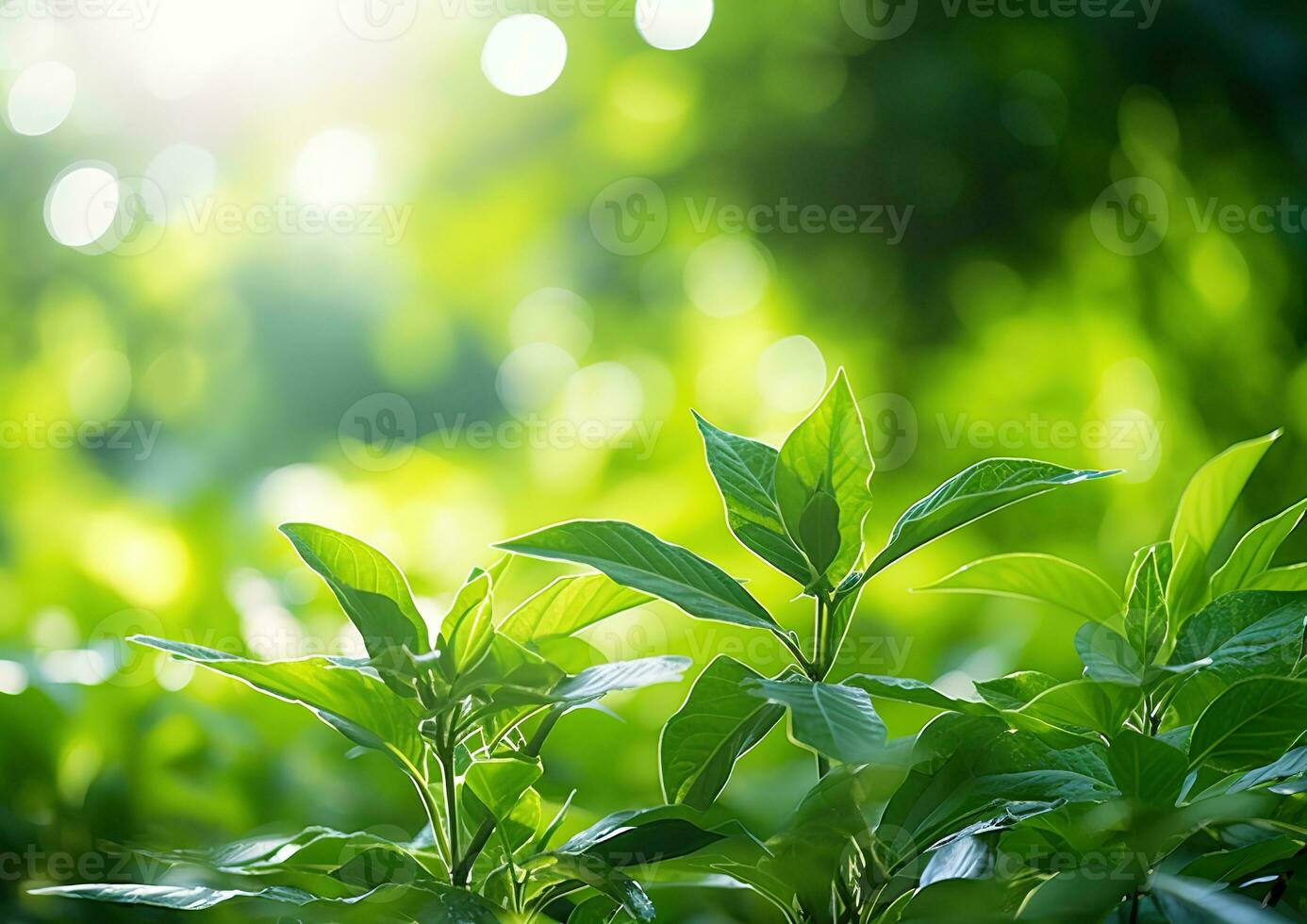 fechar acima do verde folha dentro uma jardim às verão debaixo luz solar com borrado fundo. generativo ai foto