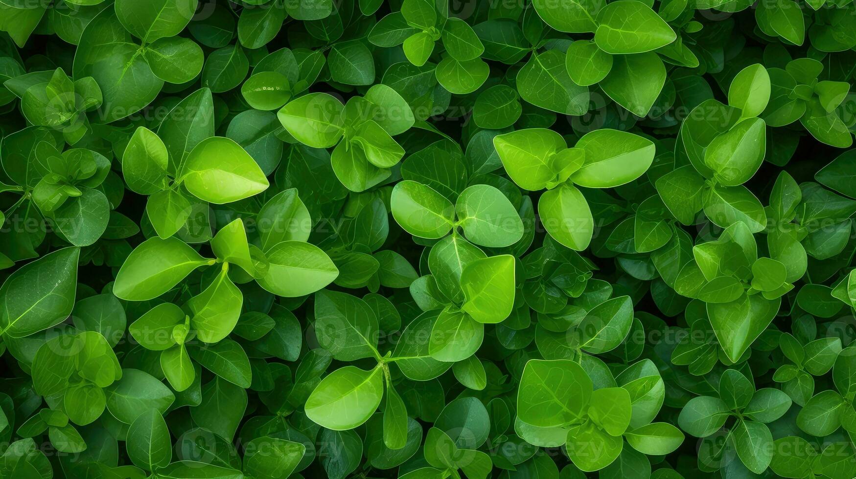 fundo conceito plantar folha topo Visão ai gerado foto