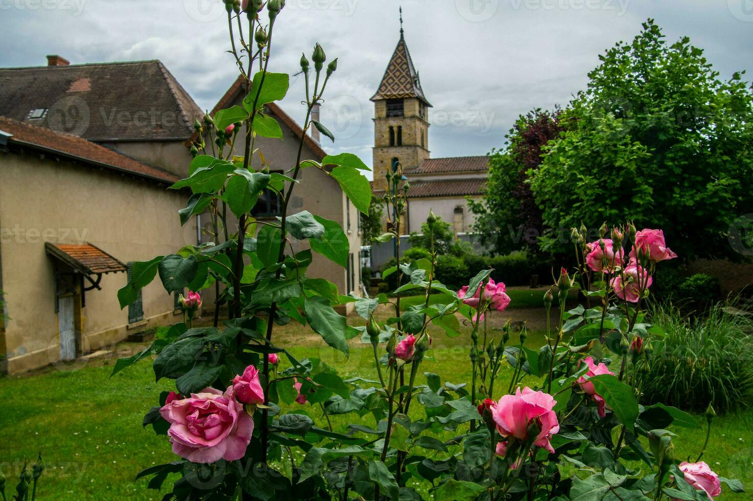 Briennon dentro , Loire, França foto