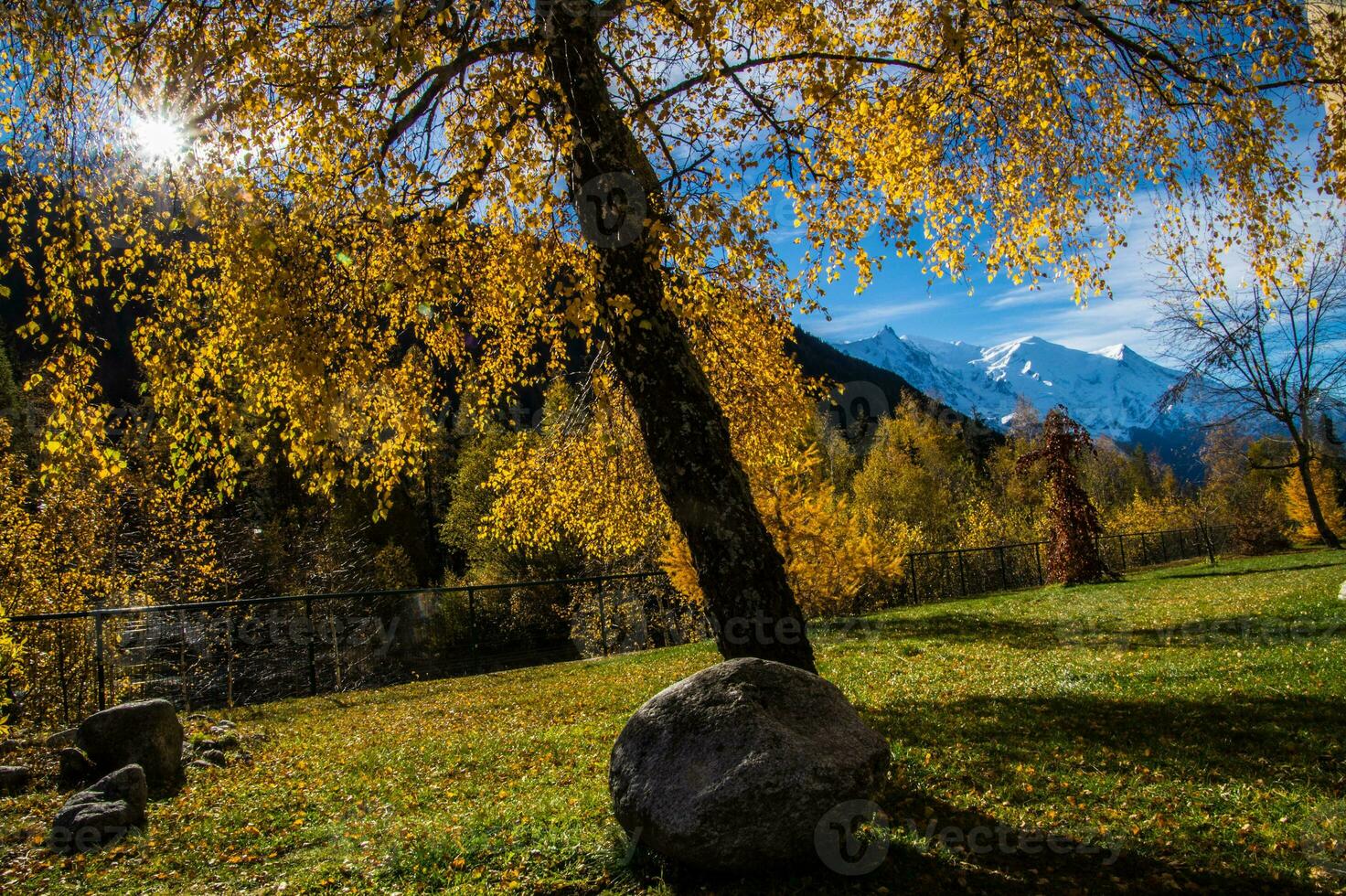 panorama do a francês Alpes dentro outono foto