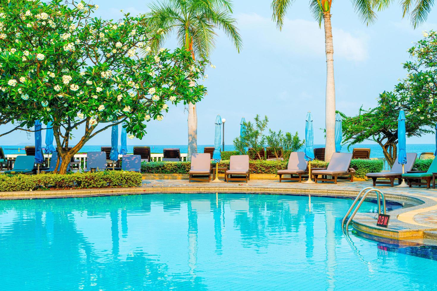 cadeira, piscina e guarda-sol ao redor da piscina com coqueiro foto