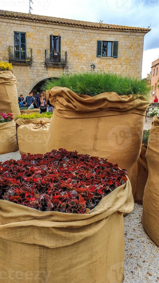 festival da flor em girona temps de flors, espanha. 2018 foto