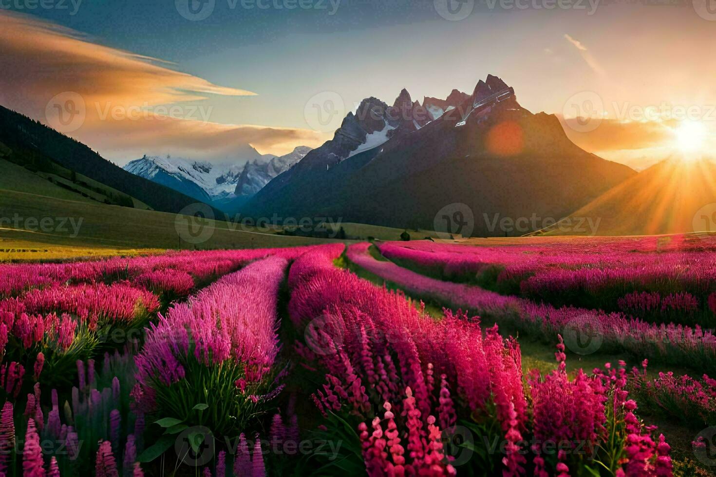 a Sol sobe sobre uma campo do Rosa flores dentro a montanhas. gerado por IA foto