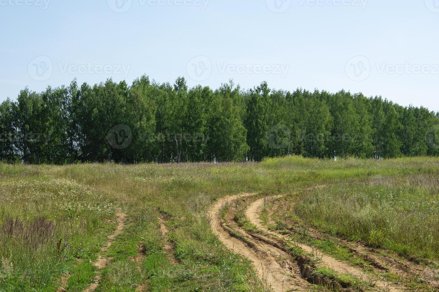 a estrada no campo, indo para a floresta foto