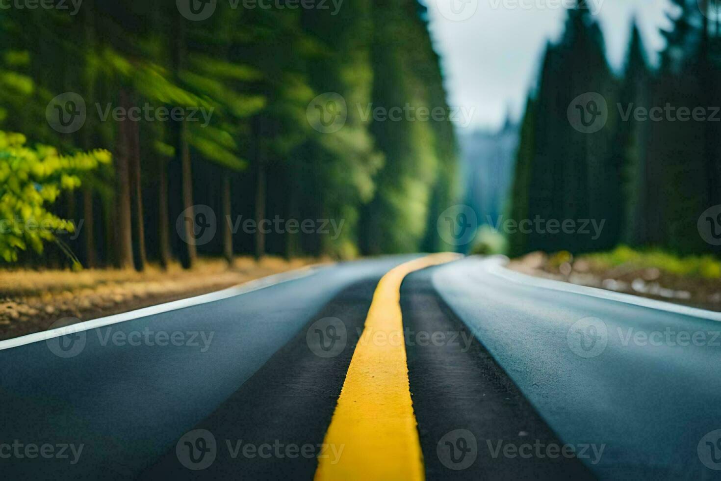 a esvaziar estrada dentro a madeiras com árvores em ambos lados. gerado por IA foto