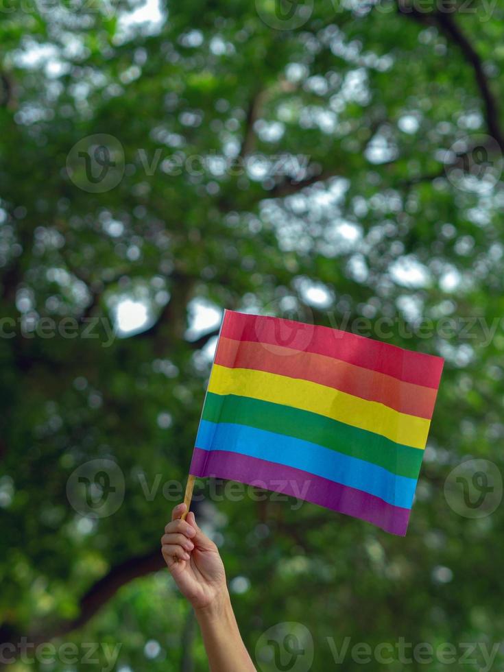 uma mão segura uma bandeira do arco-íris do movimento lgbtq, verde no fundo foto