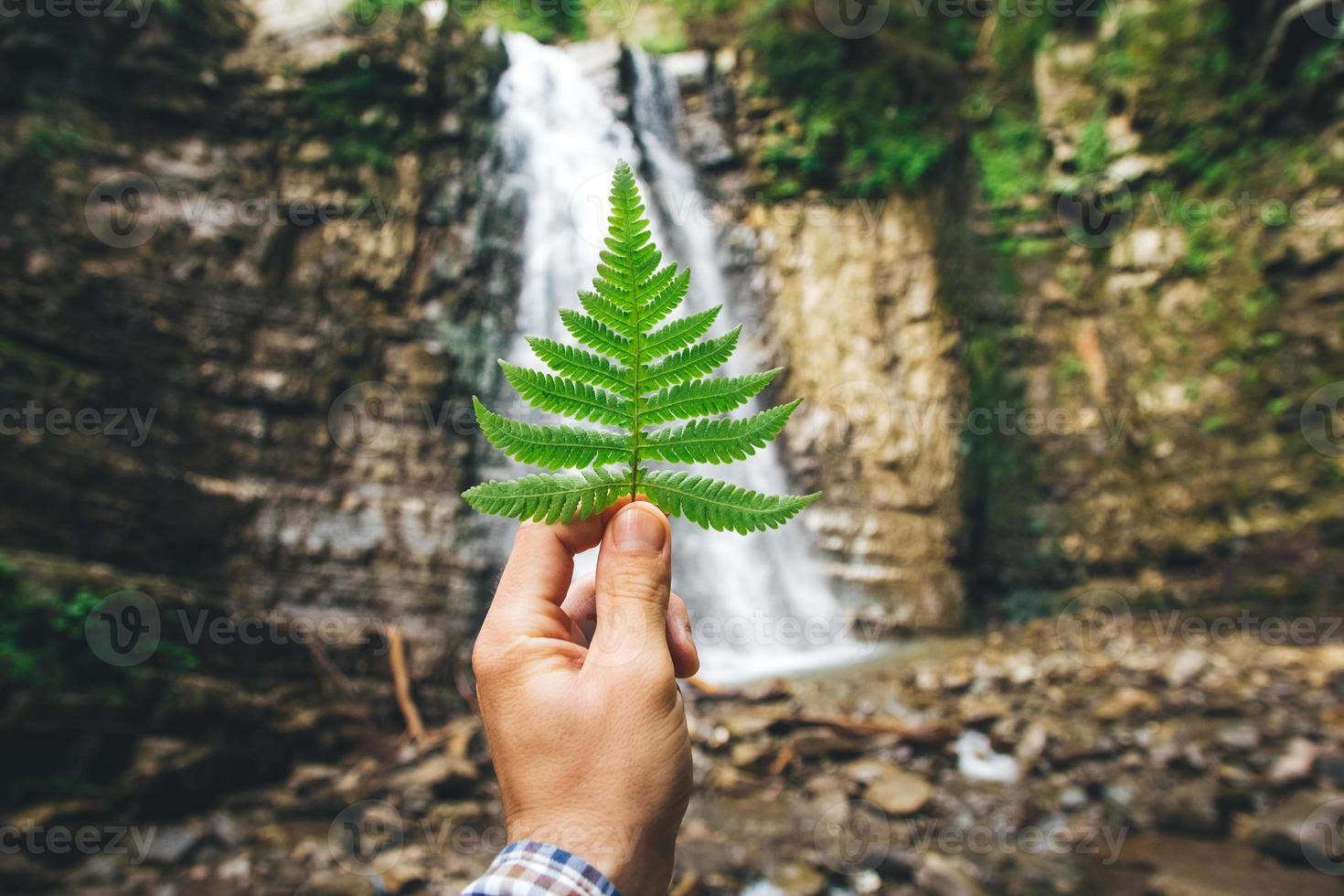 folha verde de samambaias em mãos sobre fundo de pedras e cachoeira foto