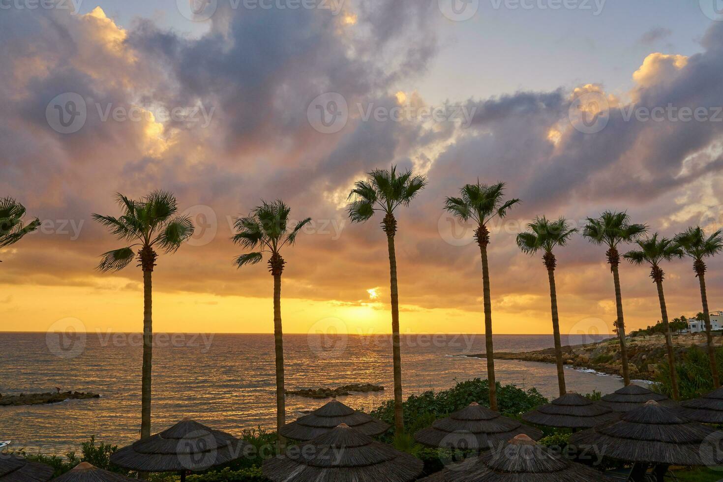 pôr do sol em a litoral com silhuetas do Palma árvores foto