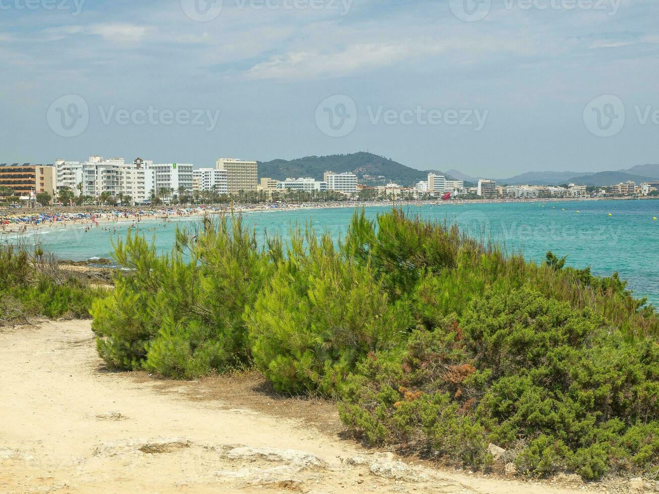 a ilha do Mallorca foto