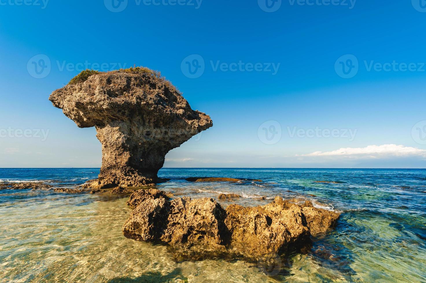 vaso de flores rocha coral na ilha lamay no condado de pingtung, taiwan foto