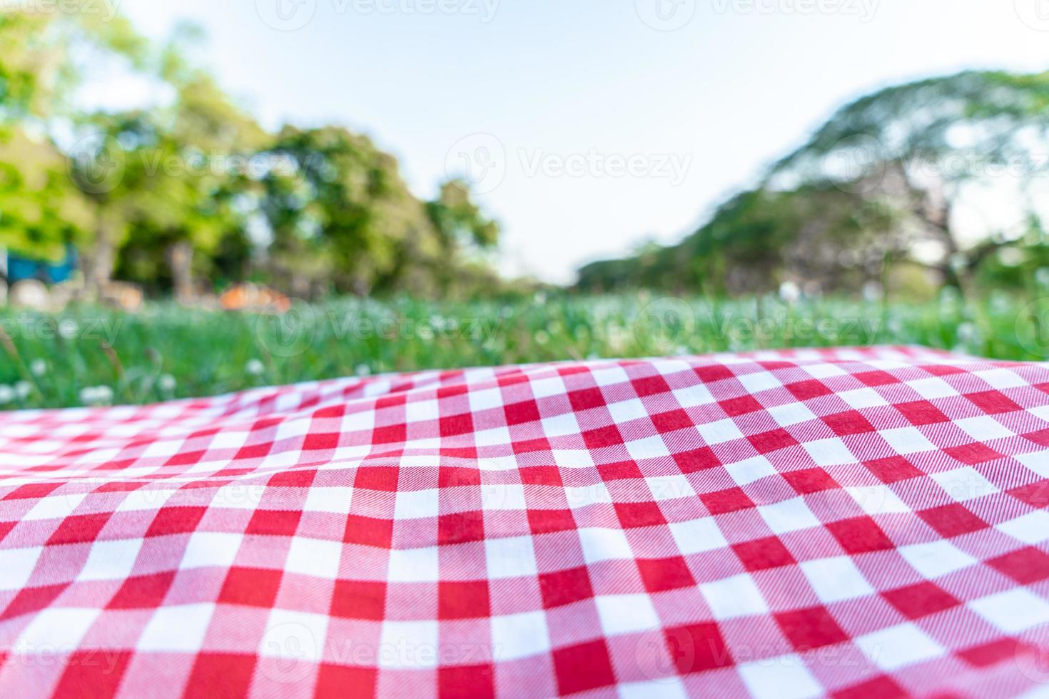 textura de toalha de mesa quadriculada vermelha com grama verde no jardim foto