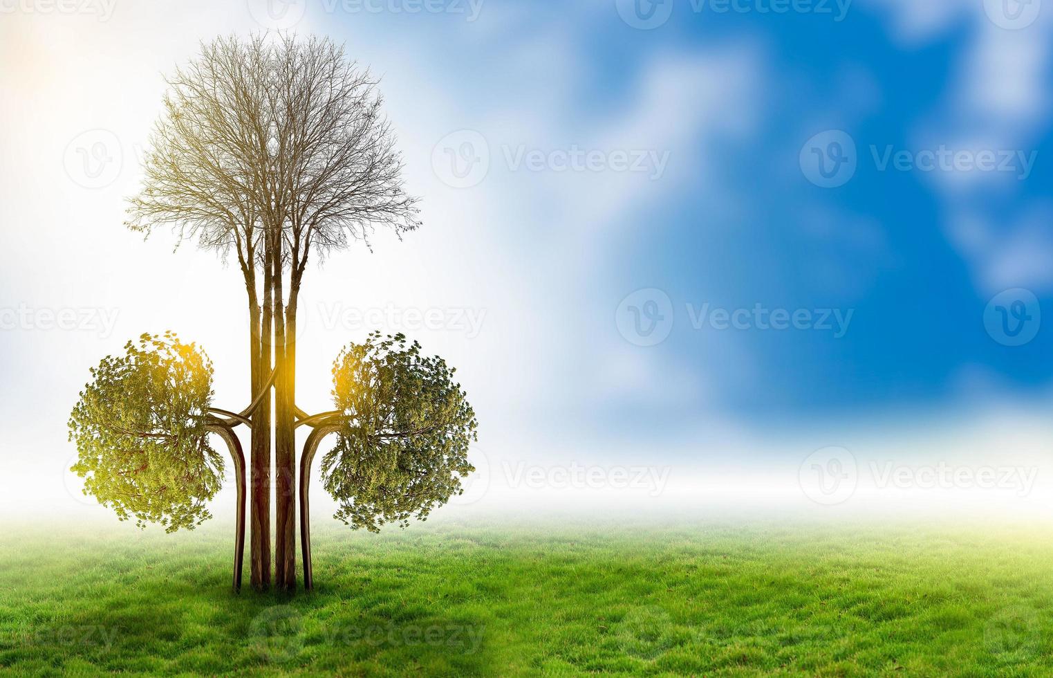 árvores rins conceitos ambientais e médicos em 3D foto