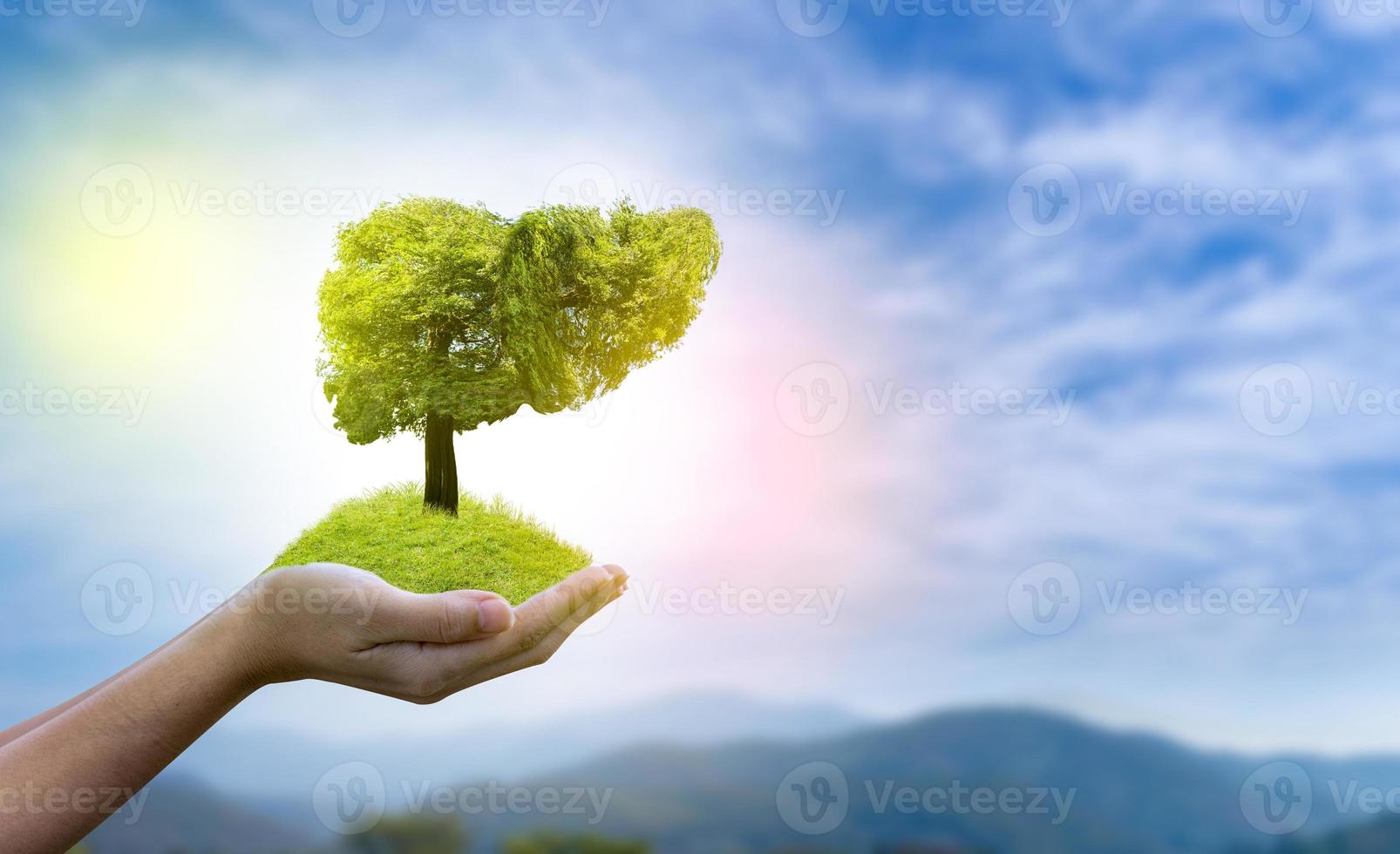 ilustração de uma árvore em forma de fígado foto