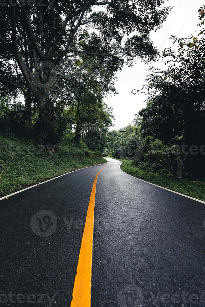 estrada na floresta, estação das chuvas, árvores da natureza e viagens com nevoeiro foto