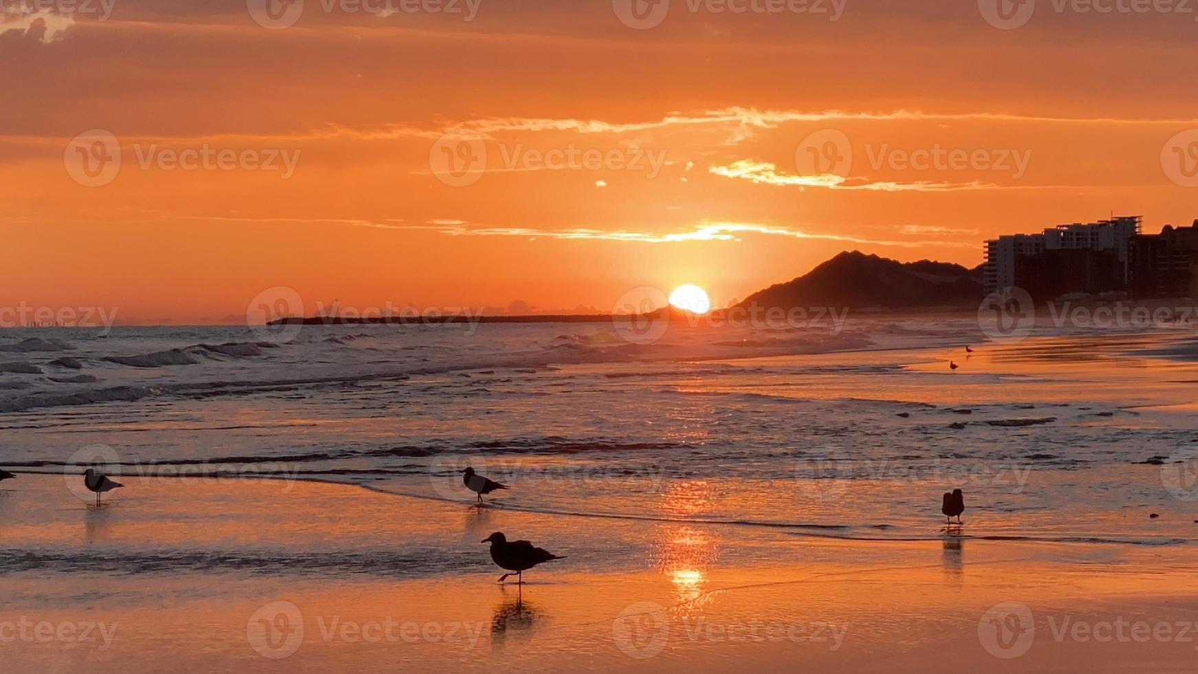 praia ensolarado pôr do sol nublado com condomínios foto