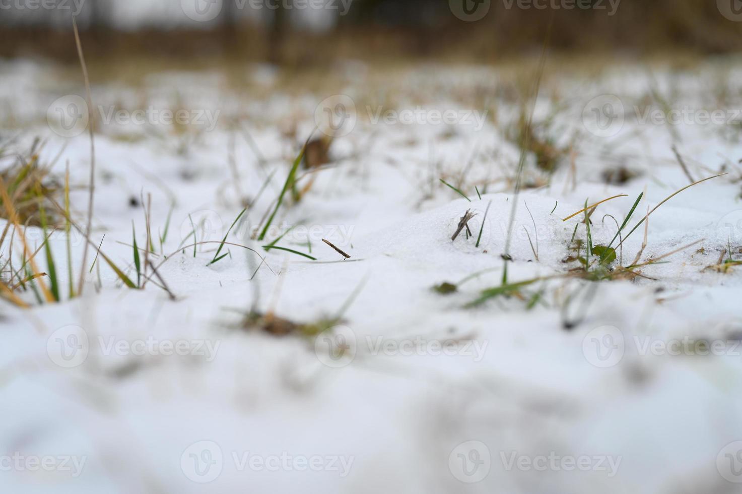 pouca neve inverno pequena foto