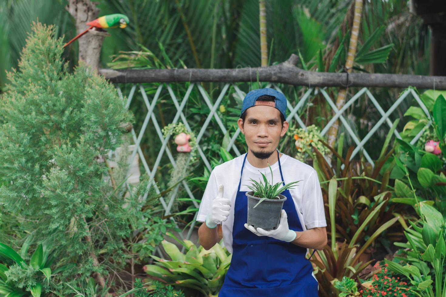 homem asiático trabalhando em loja de jardinagem foto