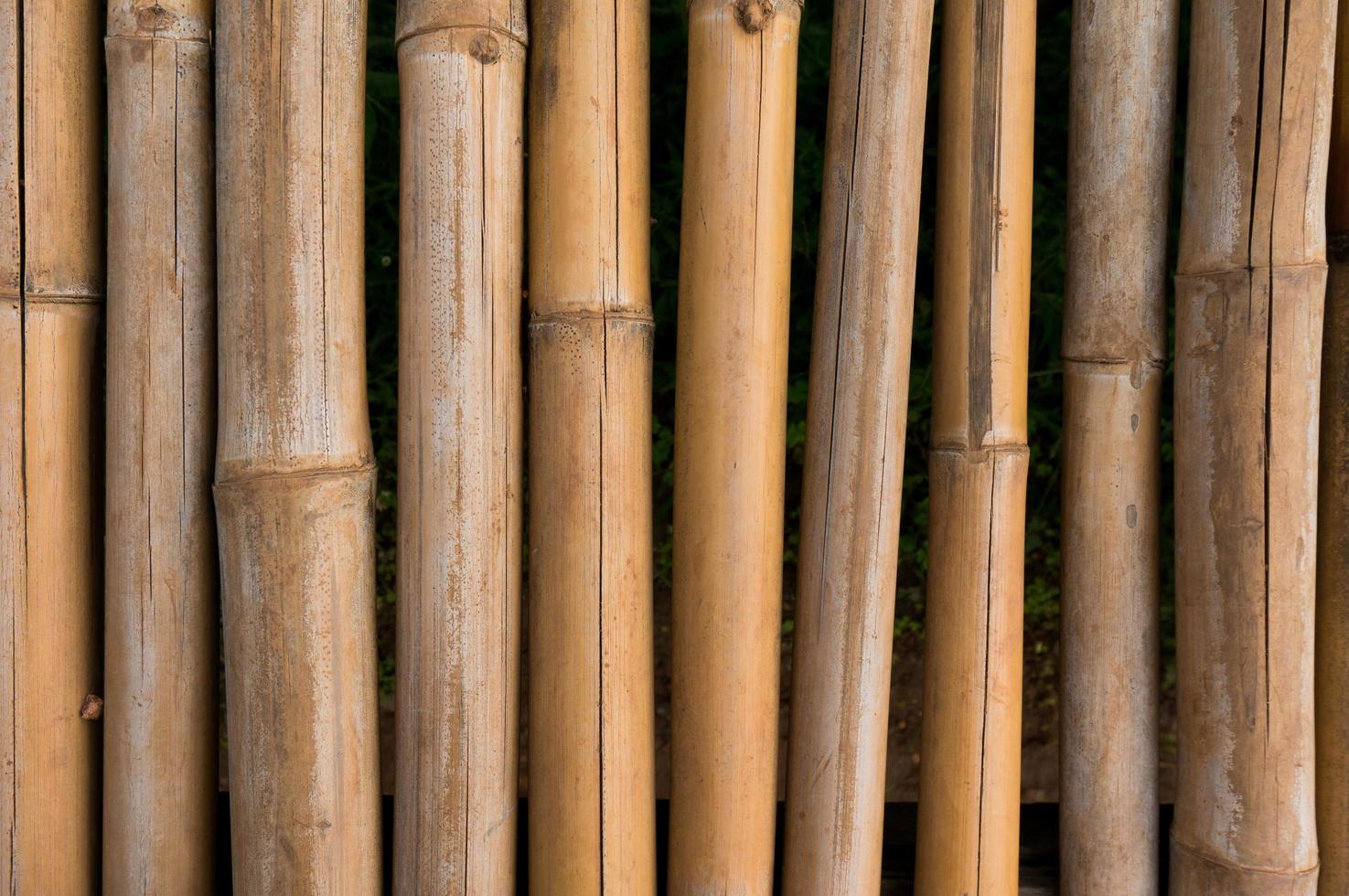 textura de cerca de bambu com fundo de padrões naturais foto