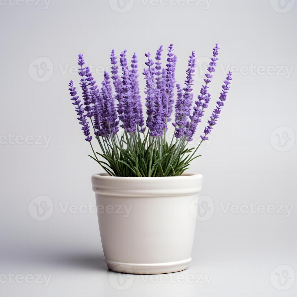 lavanda dentro panelas ai generativo foto