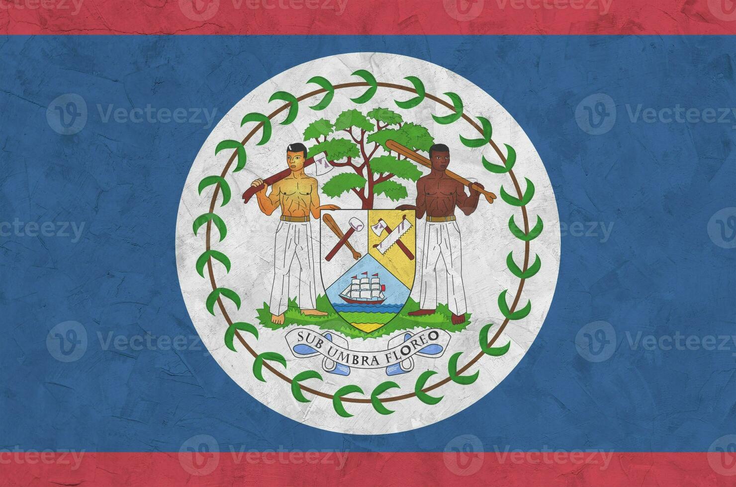 bandeira de belize retratada em cores de tinta brilhantes na parede de reboco em relevo antigo. banner texturizado em fundo áspero foto