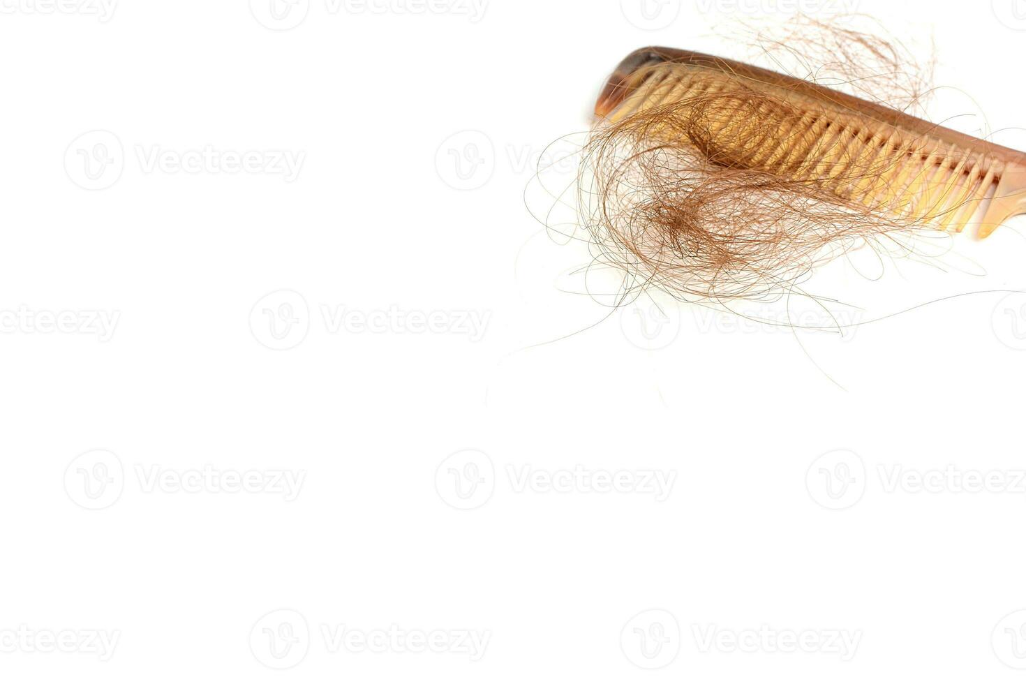 cabelo perda dentro pentear, cabelo outono todo dia sério problema, em branco fundo. foto