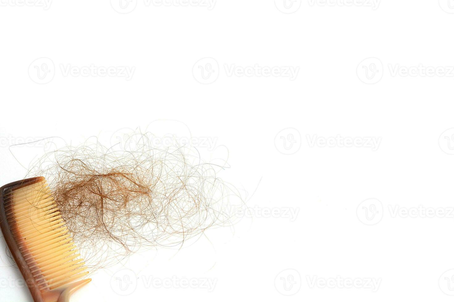 cabelo perda dentro pentear, cabelo outono todo dia sério problema, em branco fundo. foto