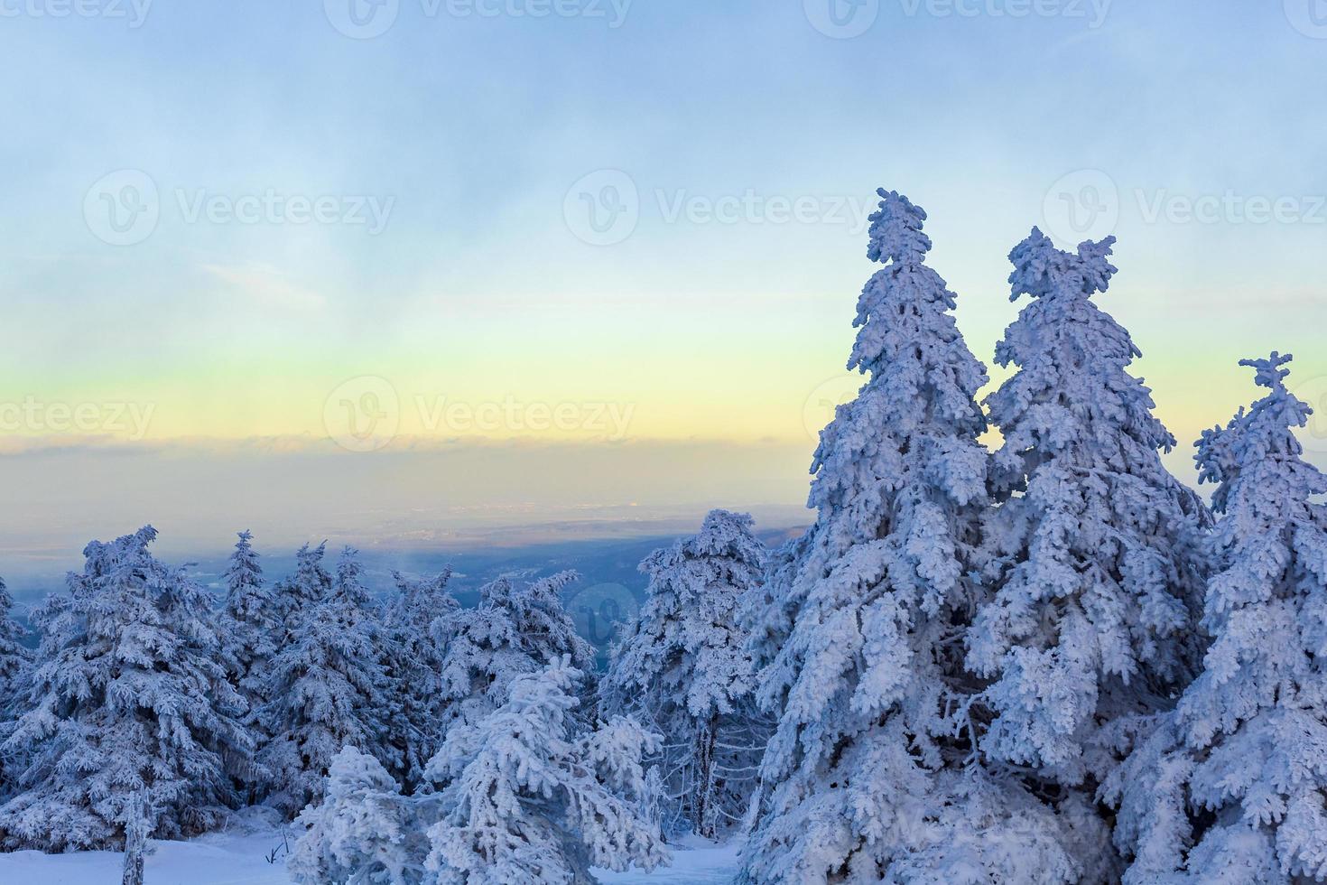 pôr do sol floresta paisagem gelada abetos brocken montanha alemanha. foto