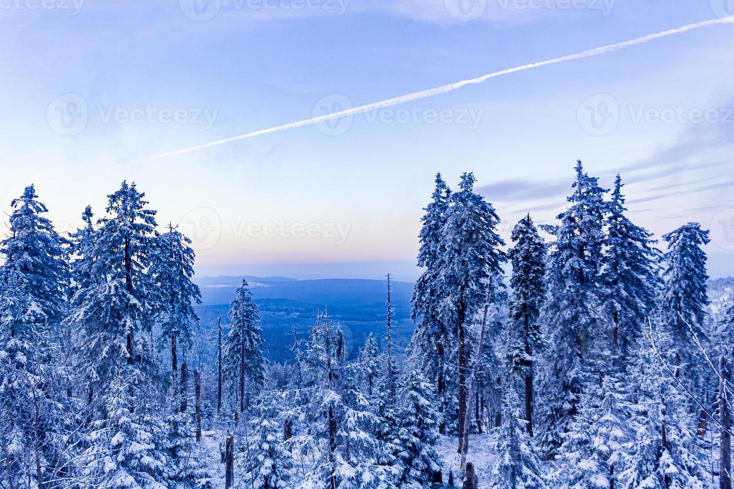 pôr do sol floresta paisagem panorama árvores geladas brocken montanha alemanha. foto