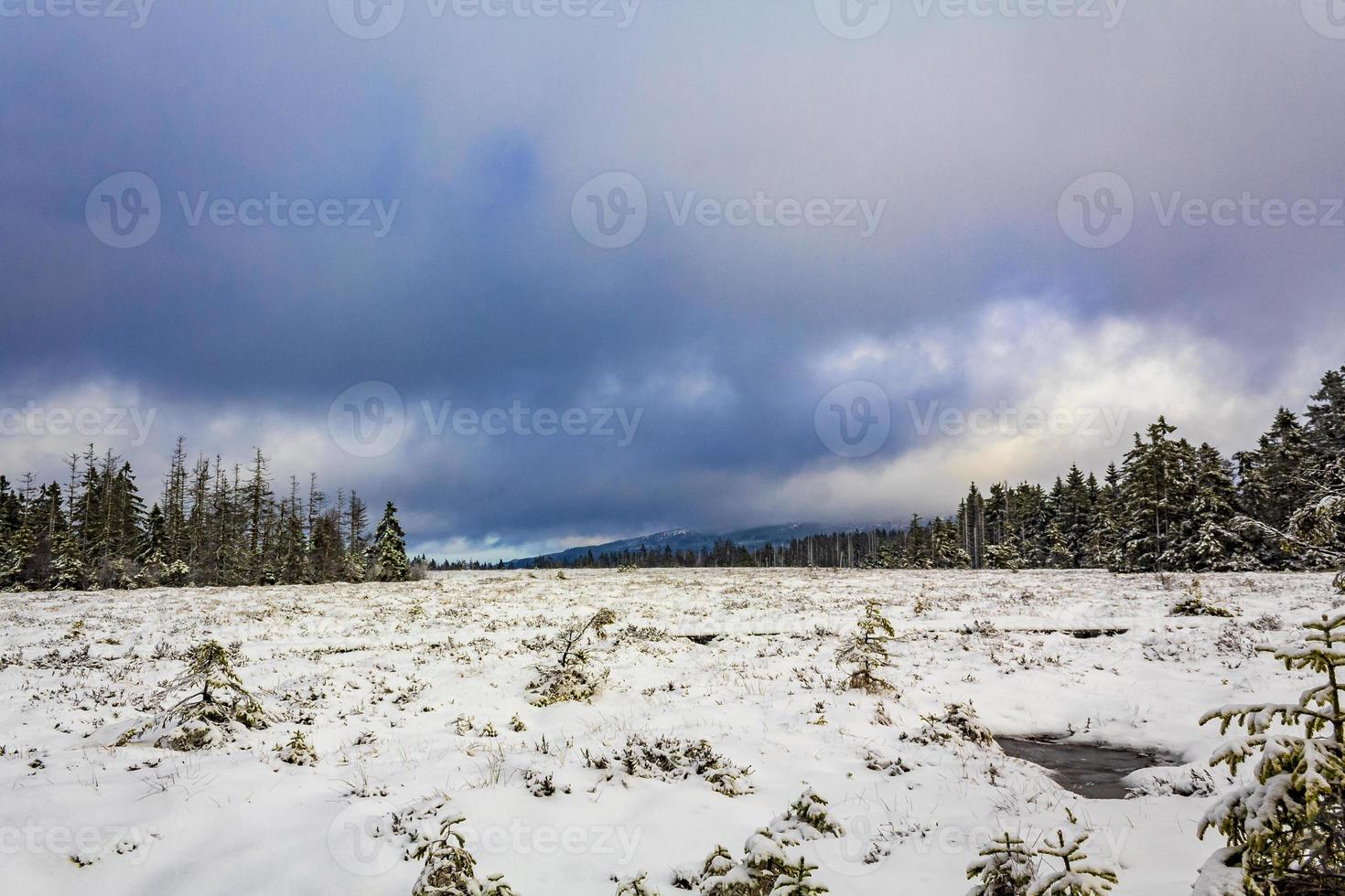 nuvens escuras acima da paisagem dos pinheiros montanha harz alemanha foto