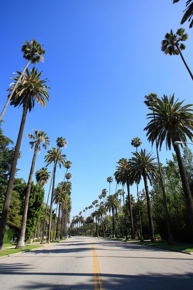 beverly hills, uma área residencial de luxo em los angeles foto