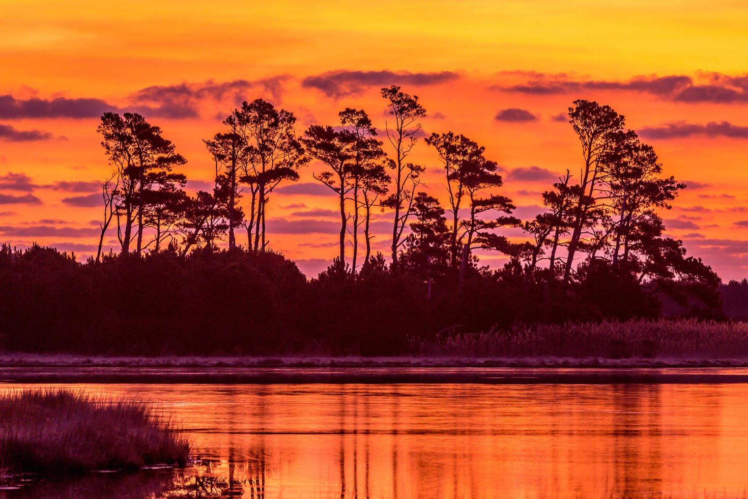 antes do nascer do sol no parque nacional de Assateague foto