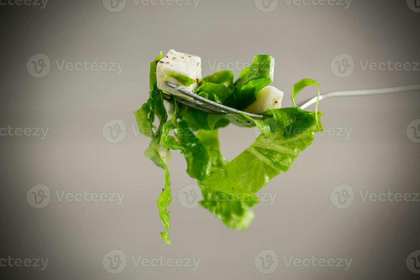 fresco verde alface salada com mozzarella e ervas em uma garfo foto